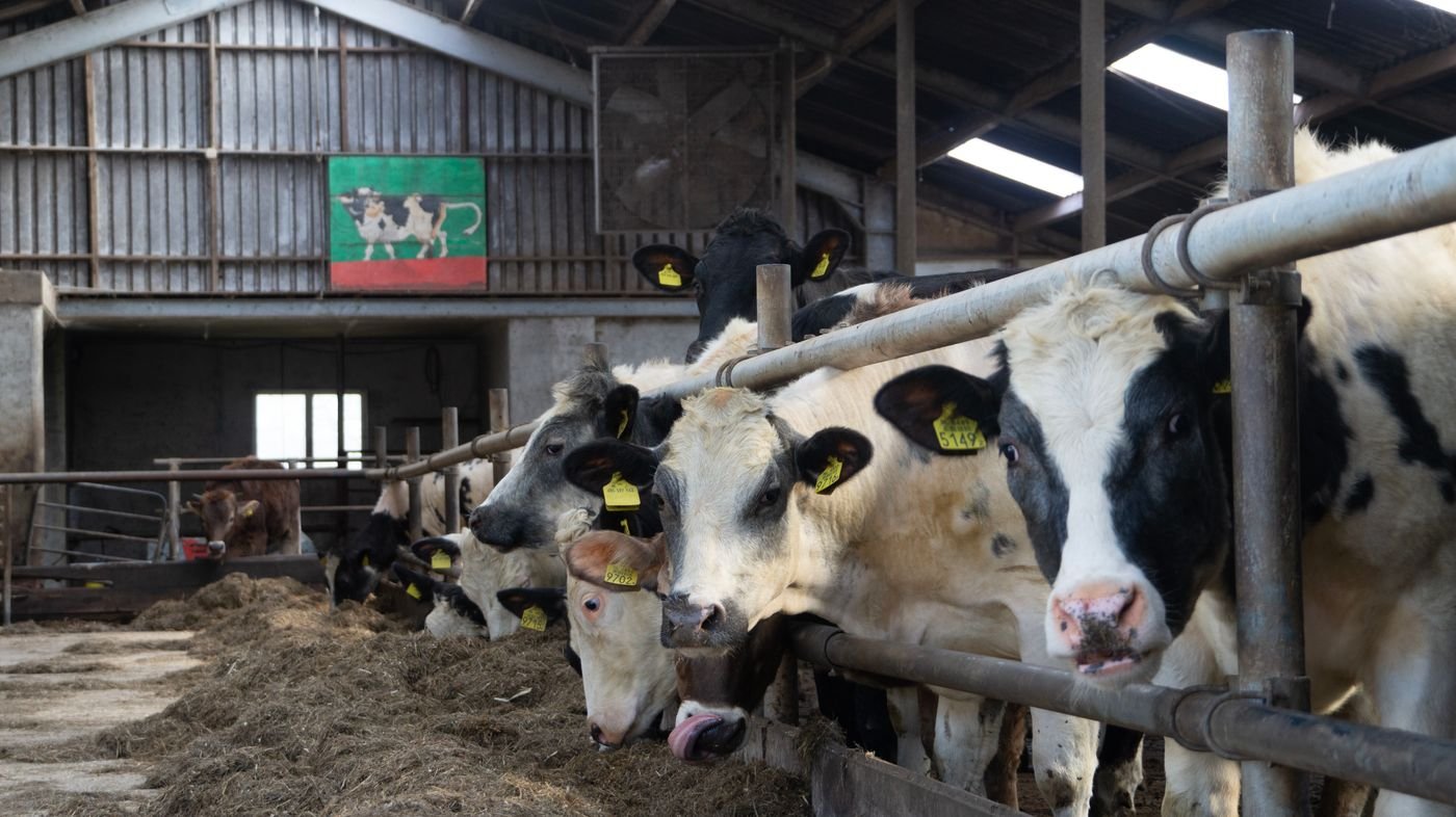 Agribusiness supplier preparing goods for a procurement contract